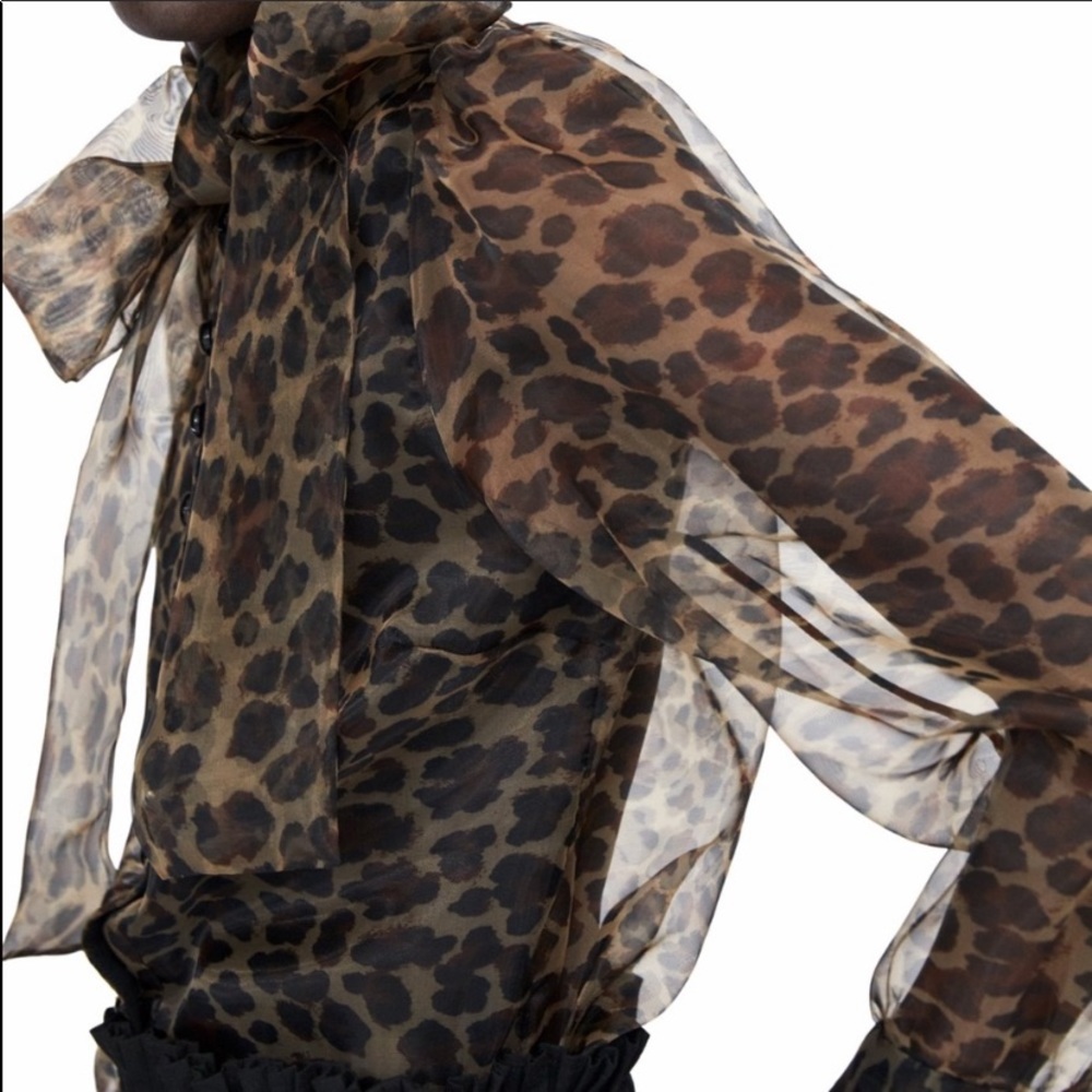 Zara animal print organza blouse - Picture 4 of 8